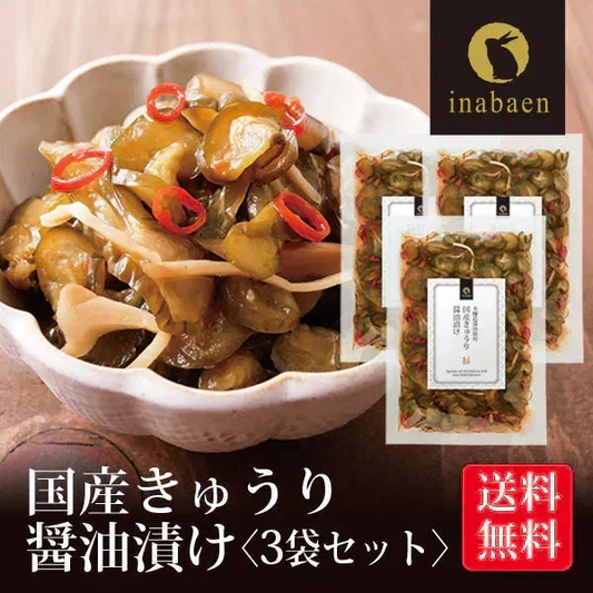 【3個セット】日本橋いなば園 国産きゅうり醤油漬け 100g メール便送料無料