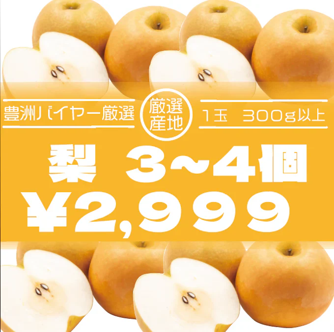 【梨最盛期到来！4玉　超大玉！梨の産地千葉県！房総の梨！常温配送】産地直送　産直
