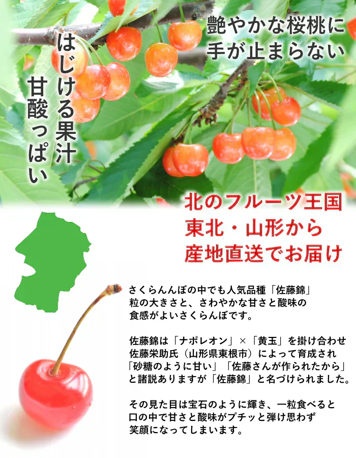 【遅れてゴメン母の日ギフト順次発送】さくらんぼ佐藤錦L玉以上16粒オリジナルギフト箱詰めカーネーション1本と母の日カード付き山形県より直送