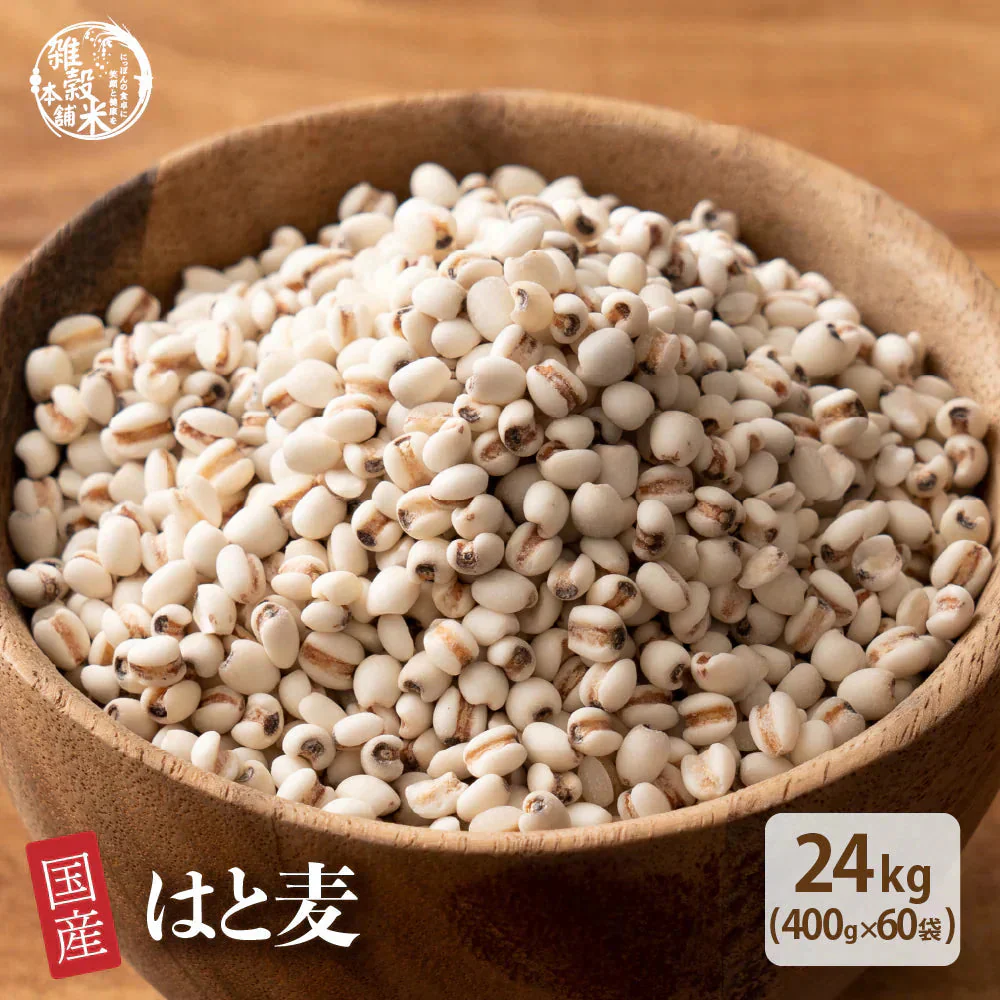 雑穀 雑穀米 国産 はと麦 (丸粒) 24kg(400g×60袋)