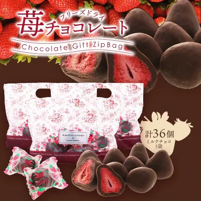 フリーズドライ苺チョコ ミルク 12個×3P ［基本冷蔵/冷凍も可］【送料無料】【2～3営業日以内に出荷】  おしゃれ オシャレ かわいい 可愛い ギフト