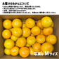 和歌山県産 有田みかん 秀品 S〜L 約8kg 有田産 みかん ゆら 田口 宮川 ミカン 贈答 ギフト ご自宅