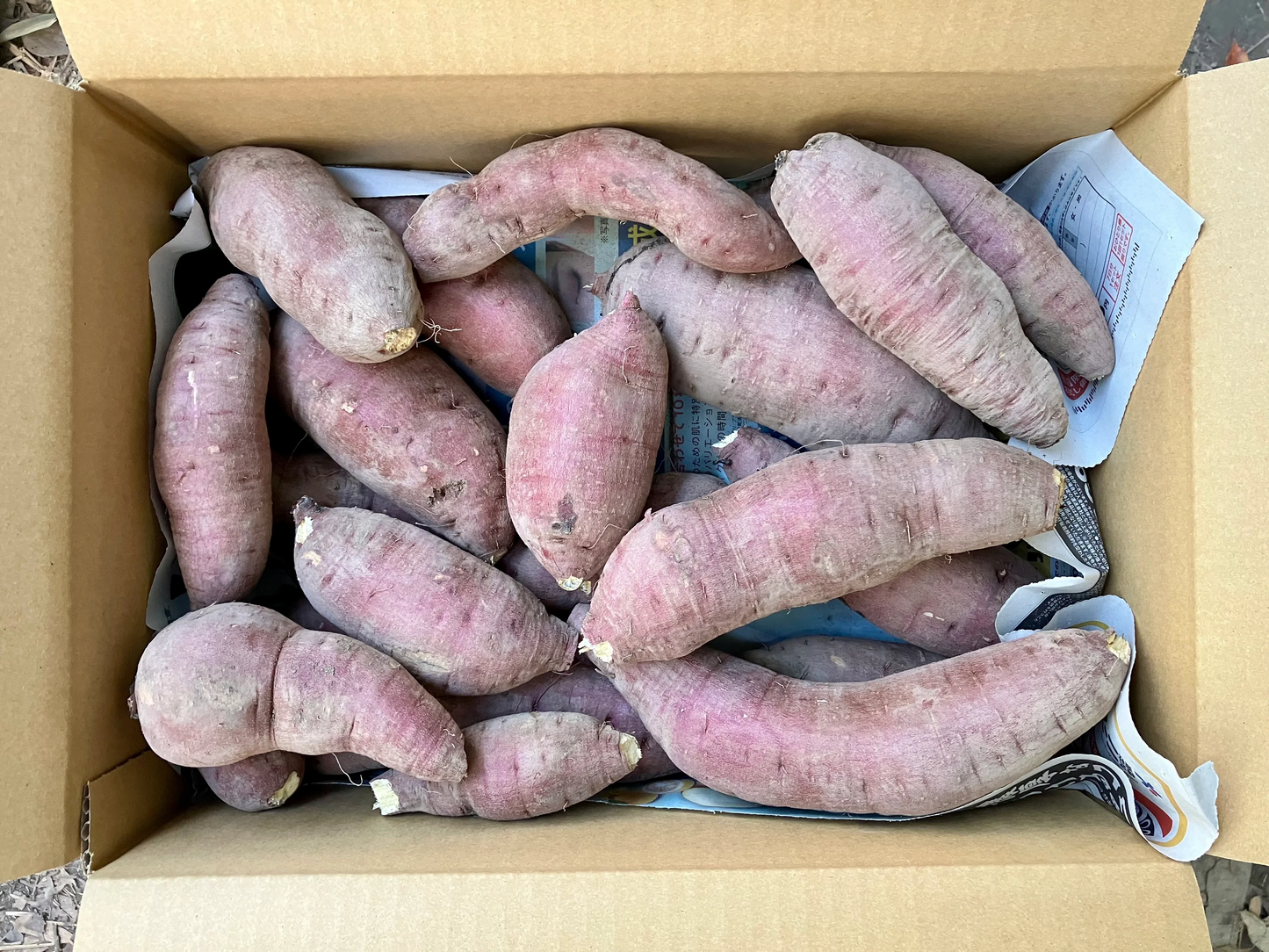 【鹿児島産】甘塩シルクサツマイモ箱込み5キロ^_^
