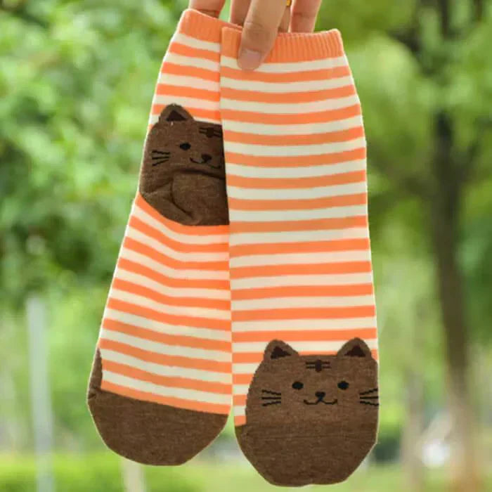 【予約商品・発送時期は商品説明に記載】猫靴下 6足セット 猫柄 ネコソックス かわいい ボーダー ショートソックス 肉球 ねこ 靴下 ネコ コットン くつ下 ソックス カジュアル 春 夏 秋 冬 女性 レディース 子供 送料無料