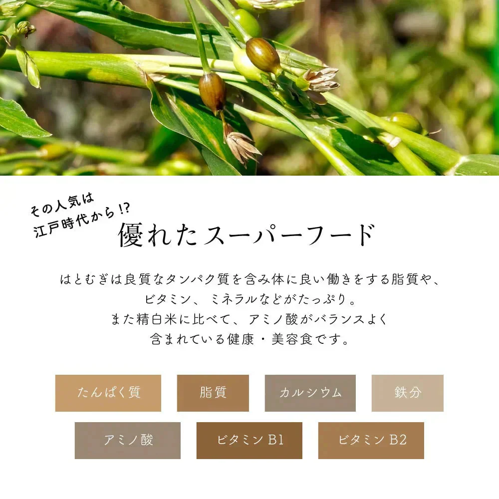 雑穀 雑穀米 国産 はと麦 (丸粒) 1.6kg(400g×4袋)