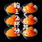 いくら醤油漬け【1kg（250g×4）】豊洲市場 軍艦 紅鮭 手巻き寿司 ちらし寿司 ギフト お歳暮 鱒 鮭 しゃけ サーモン