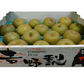完熟 幸水 梨 訳あり 熊本産 箱込5kg (約8～24玉)【クール便発送】【7月下旬より発送】