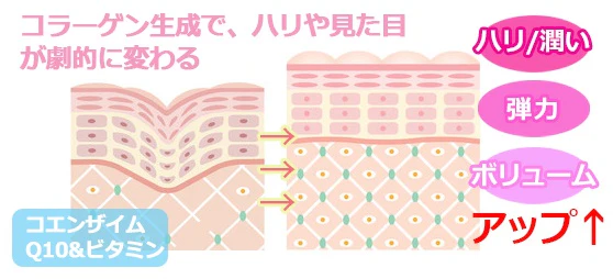 シェリー ピーチ ボーテ(Cherie Peach Beaute)【美ボディケア バスト ドリンク 美味しい むくみ エストロゲン サポート 女性 モテBODY 上品】