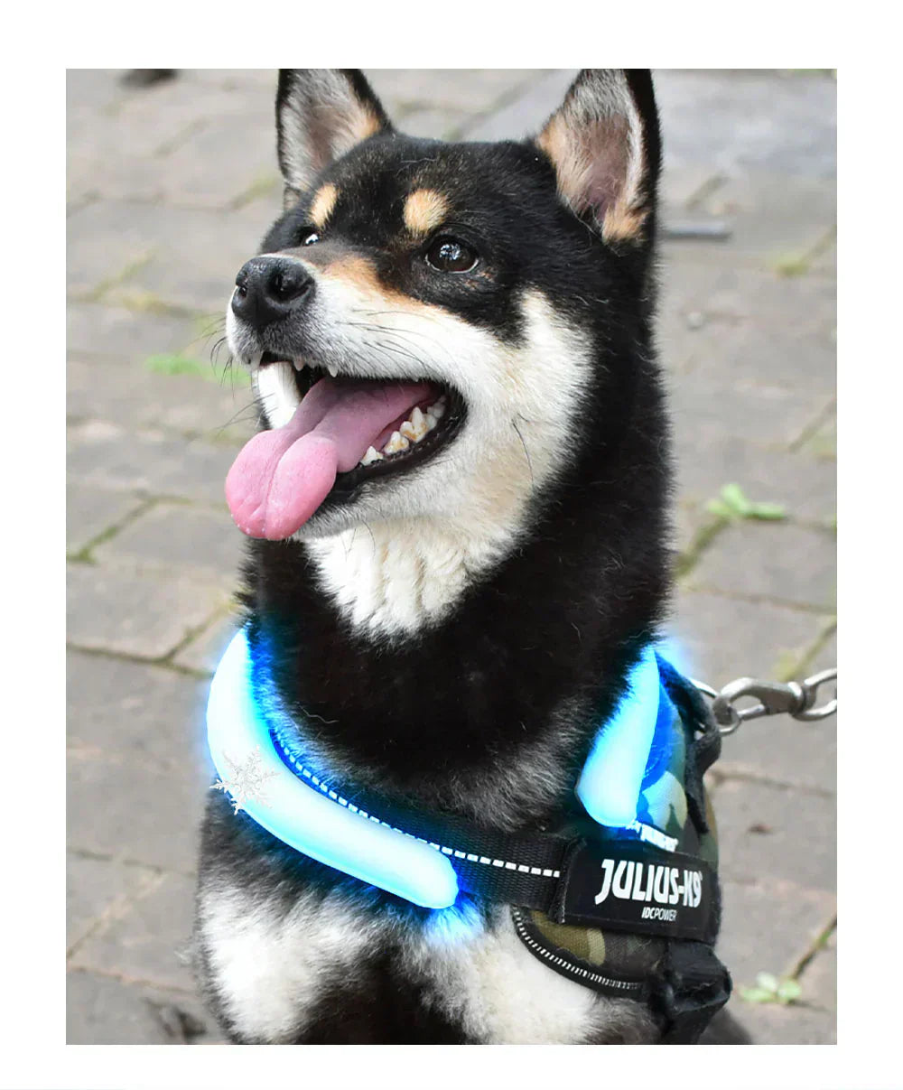 【超軽量デザイン！】＼1本 Sサイズ 色がランダム出荷／犬用 アイスクールリング ネッククーラー クールリング ひんやりリング ひんやりグッズ クールネック ひんやりリング 冷やす 首掛け 犬 冷感リング 冷感グッズ ペット用 お散歩