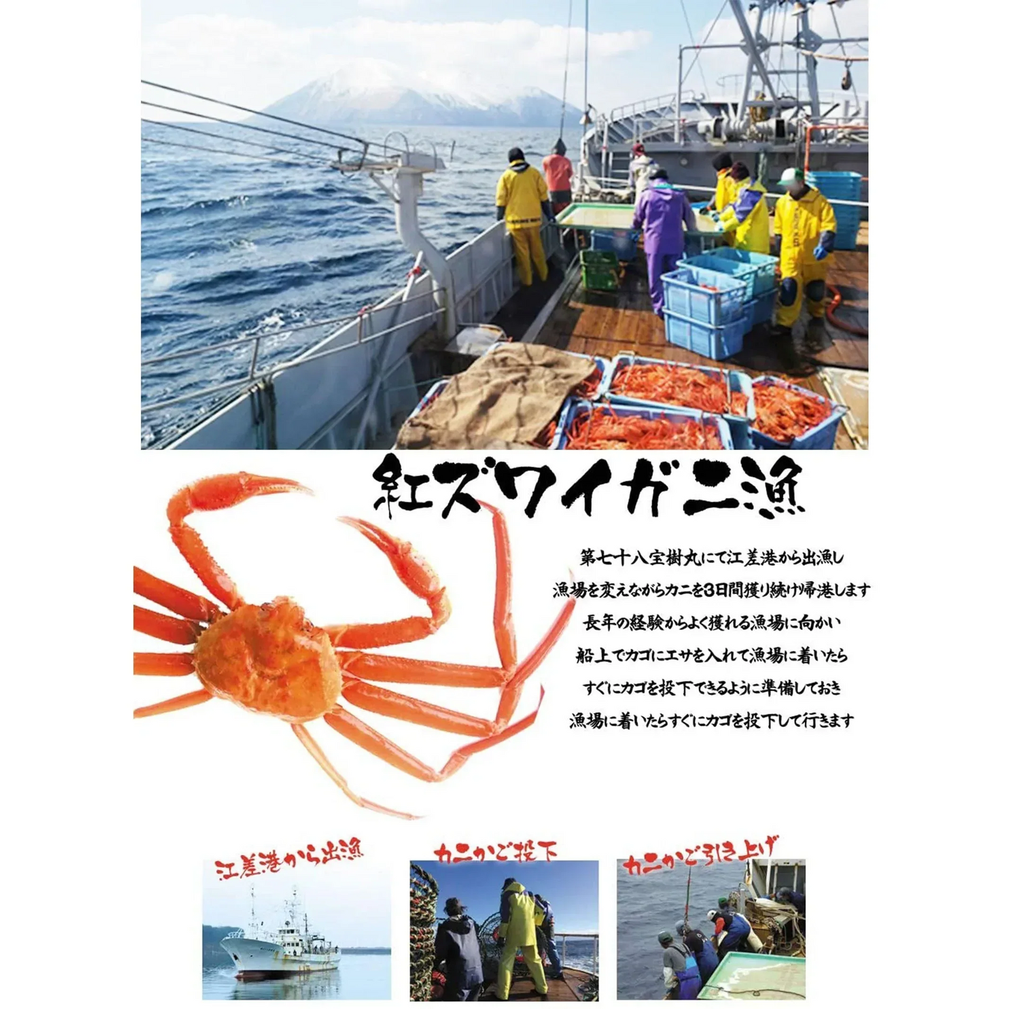 【北海道直送】国産冷凍 ボイル済 紅ズワイガニ姿 3杯セット (約1.5~2kg) A品 2022年新物 第七十八宝樹丸 松田船長 漁師さん応援キャンペーン 3杯入×1箱 冷凍品 国産無添加【エコ得】