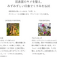化粧下地 ナチュラグラッセ カラーコントロールベース 01 (バイオレット) 25ml SPF32 PA++ カラー補正 色ムラ くすみ メイクアップ スキンケア 植物オイル うるおい ベースメイク オーガニック ナチュラル 紫外線対策 下地 コントロールカラー ナチュラル naturaglace 日本