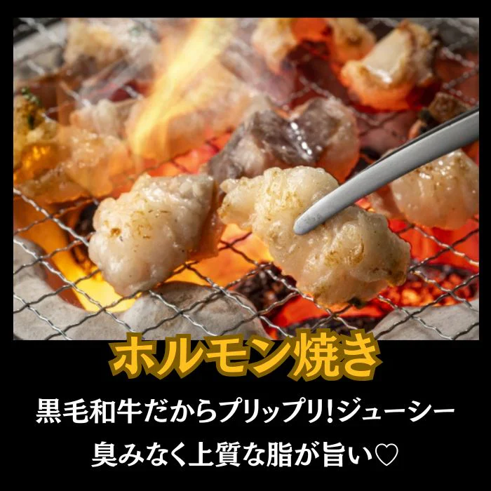 九州産 黒毛和牛 ミックスホルモン 1kg（500g×2パック）