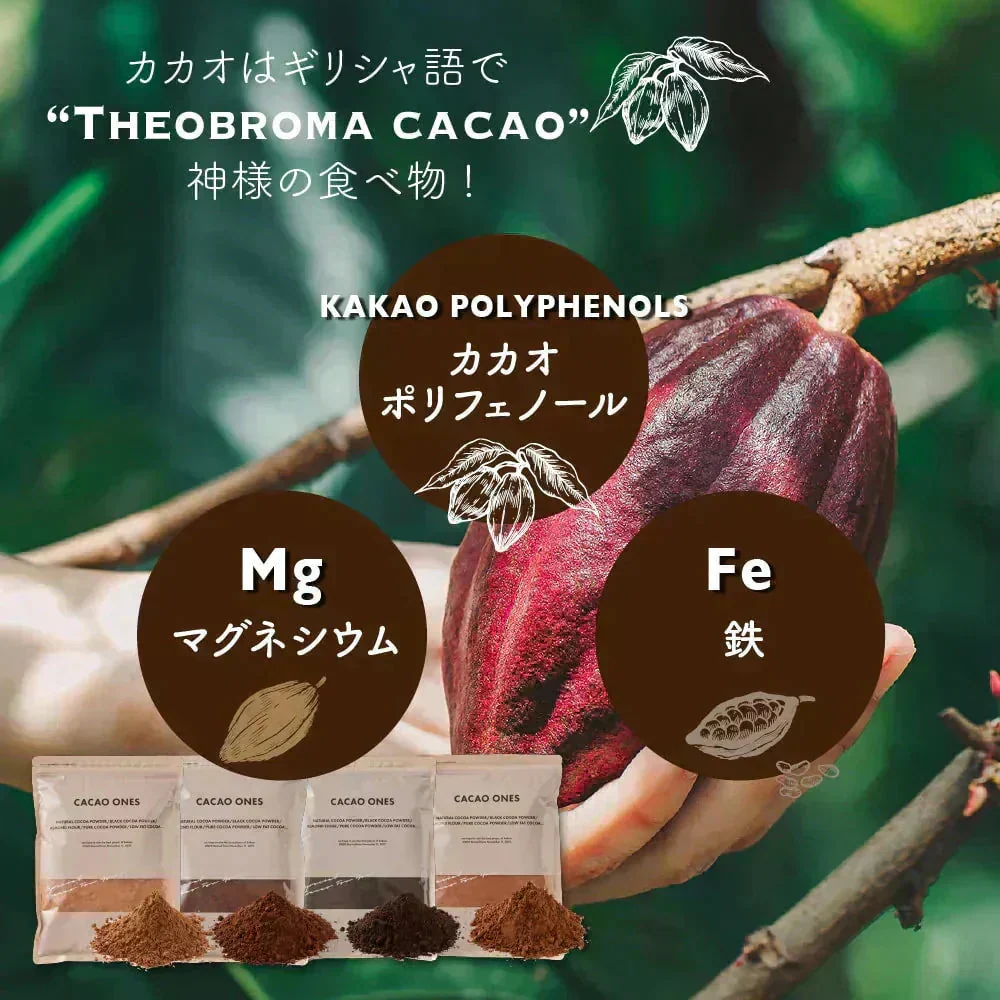 [低脂肪]ココアパウダー 【1袋】500g ココア 砂糖不使用 無添加 香料不使用 カカオ 大容量 お徳用 製菓 製パン お菓子作り 純ココア