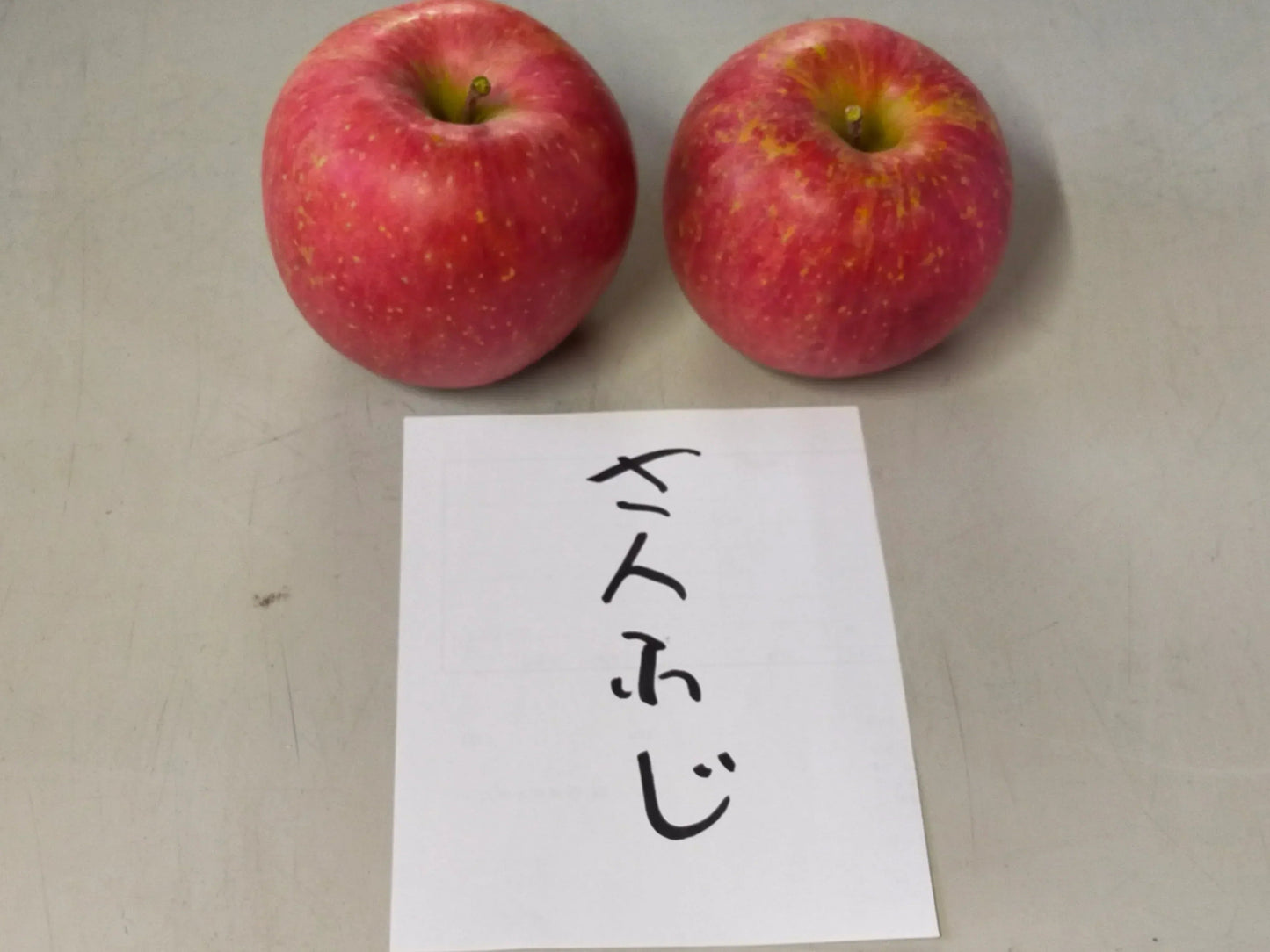 青森県産りんご サンふじ 果肉はややかたく、甘味があって酸味は少なめ 訳あり 1箱約2.5㎏ 小さめ（約10個～個体差により変動あり）佐川急便発送【6012】