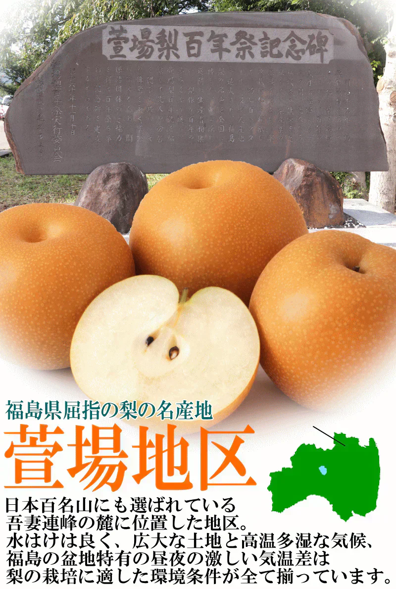 福島県産　梨　なし　5kg箱　★秀品★品種おまかせ