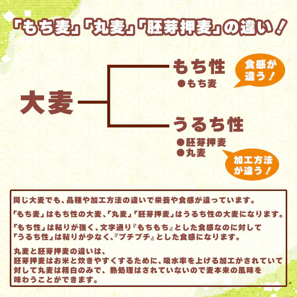 雑穀 雑穀米 国産 胚芽押麦 800g(400g×2袋) 定番サイズ 無添加 無着色 送料無料