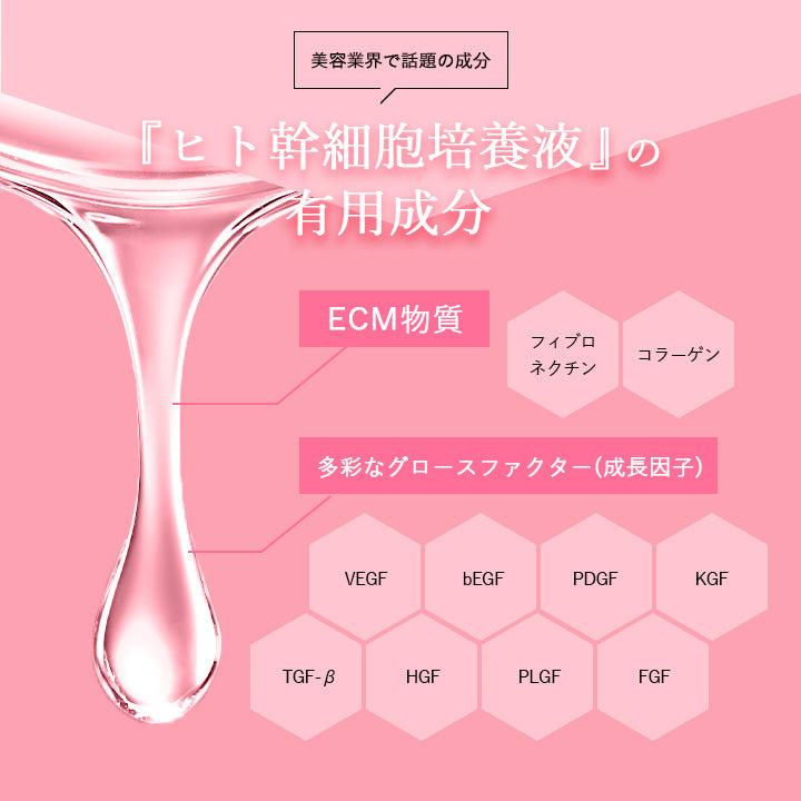 ラッシュノエル SC30 6ml まつ毛美容液 ヒト幹細胞 美容液 ヒト幹細胞培養液Lash Noel