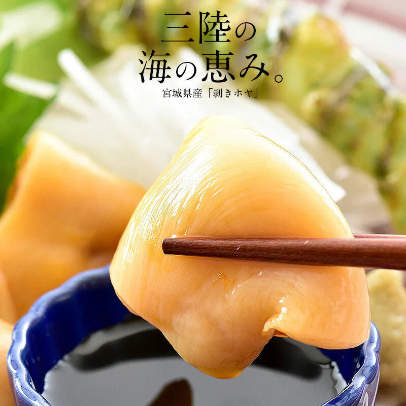 ほや 剥き ホヤ 900g（300g×3袋） お徳用 お取り寄せ 三陸 魚介類 美味しい 肉厚 むき身 刺身 お刺身 ご当地グルメ 三陸沖 三陸産 海の幸 宮城 特産品 海鮮 お取り寄せグルメ 取り寄せ 取寄せ 贈り物 母の日 プレゼント ギフト  母の日思いの 健康 実用的 父の日 子供 孫