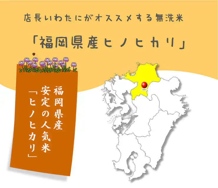 令和7年産 無洗米 10kg 送料無料 コメ 九州産 福岡ヒノヒカリ 5kg×2個セット ひのひかり 飲食店御用達
