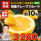 河内晩柑 約10kg (9kg＋不良果保証450g) 送料無料 和製 グレープフルーツ 約 10㎏ 旬 の フルーツ 果物 みかん 別名：夏文旦 愛南ゴールド 宇和ゴールド ジューシーみかん と同品種 晩柑 熊本県産《1-5営業日以内に出荷予定(土日祝日除く)》