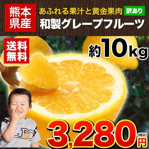 河内晩柑 約10kg (9kg＋不良果保証450g) 送料無料 和製 グレープフルーツ 約 10㎏ 旬 の フルーツ 果物 みかん 別名：夏文旦 愛南ゴールド 宇和ゴールド ジューシーみかん と同品種 晩柑 熊本県産《1-5営業日以内に出荷予定(土日祝日除く)》