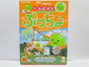 北海道限定 ぷっちょ 5個 夕張メロン 送料無料