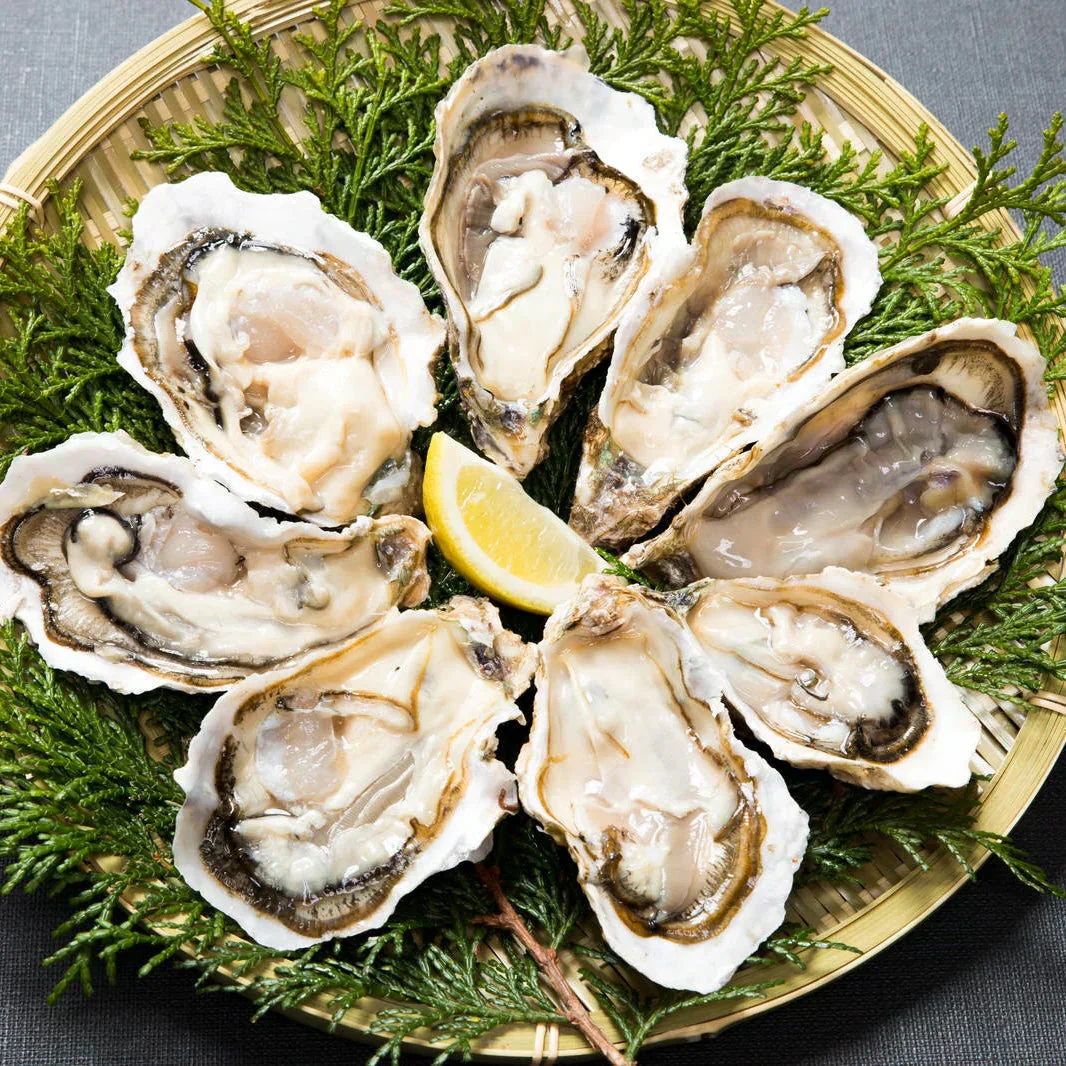 【生食可】バーベキューでも大活躍！人気商品！宮城県産 冷凍牡蠣3kg（箱込み）生牡蠣 生食 美味しい 冷凍牡蠣 生ガキ 生食用カキ お取り寄せ 殻付き牡蠣 高鮮度 贈り物 お取り寄せグルメ 贈答用 お中元