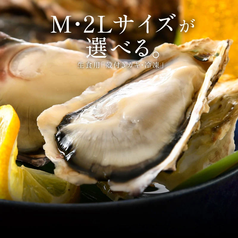 2L、Mサイズが選べる　カキ 牡蠣 かき 生食用 殻付き 1kg　Mサイズ（14～16個）　冷凍 ［送料無料］ 生牡蠣 生食 美味しい 冷凍牡蠣 生ガキ 生食用カキ お取り寄せ 殻付き牡蠣 高鮮度 贈り物 お取り寄せグルメ 贈答用