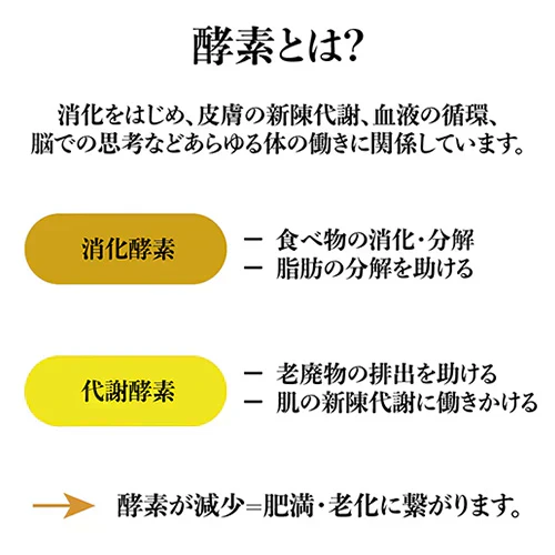 『美食酵素　大人スパイシー（★お得な2本セット★）【訳あり・賞味期限間近のため、大特価!!】』 ファスティング ダイエット 料理に使える 国産素材 北海道産黒たまねぎ 沖縄産黒糖 青森県産りんご 京都産真竹炭 高知県産黄金生姜 酵素 断食 置き換え 腸活