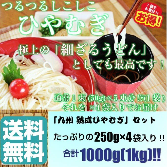 【超シェア買い祭】ひやむぎ　冷麦　1キロ　お取り寄せ　人気　つるつるシコシコ食感 九州特産 本場熟成ひやむぎ 細うどん風　たっぷり1000g　お試しグルメギフト
