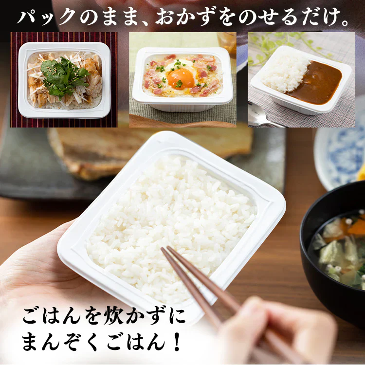 パックご飯 パックごはん 200g×40食パック アイリスオーヤマ 送料無料 レトルト 備蓄用 防災 常温保存可 保存食 非常食 仕送り 低温製法米のおいしいごはん アイリスフーズ