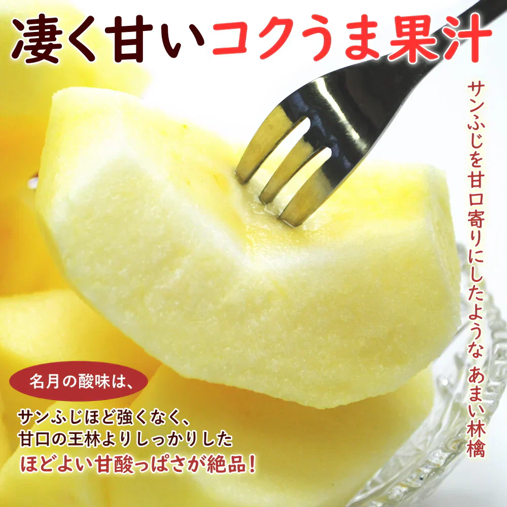 【11月上旬-中旬頃ご注文受付順次】ぐんま名月約5kg箱10-20玉前後 りんご、リンゴ、林檎ふじを超える希少な林檎