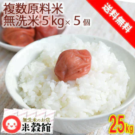 無洗米 25kg 業務用無洗米 国内産 5kg×5個セット 送料無料