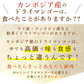 おひさま 王国ドライマンゴー450g