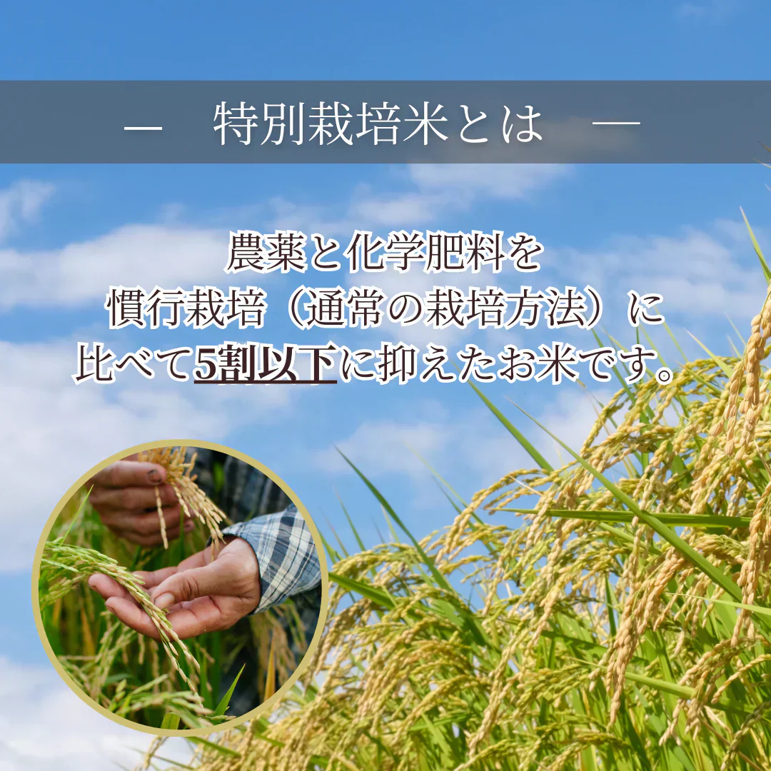 特別栽培米 無洗米 福岡県産 夢つくし 300g ×2 令和5年度産