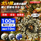 【高耐久・長寿命】＼シャンパンゴールド 10M／100球 クリスマス ツリー イルミネーション ライト LED 屋外 室内 線径激太い 1000球連結可 AC電源 コンセント 防雨 防水 ジュエリーライト つらら サンタ トナカイ ストレート 点滅 モチーフ 部屋 電飾 自宅 おしゃれ 屋外用 LED イルミネーションライト 高輝度