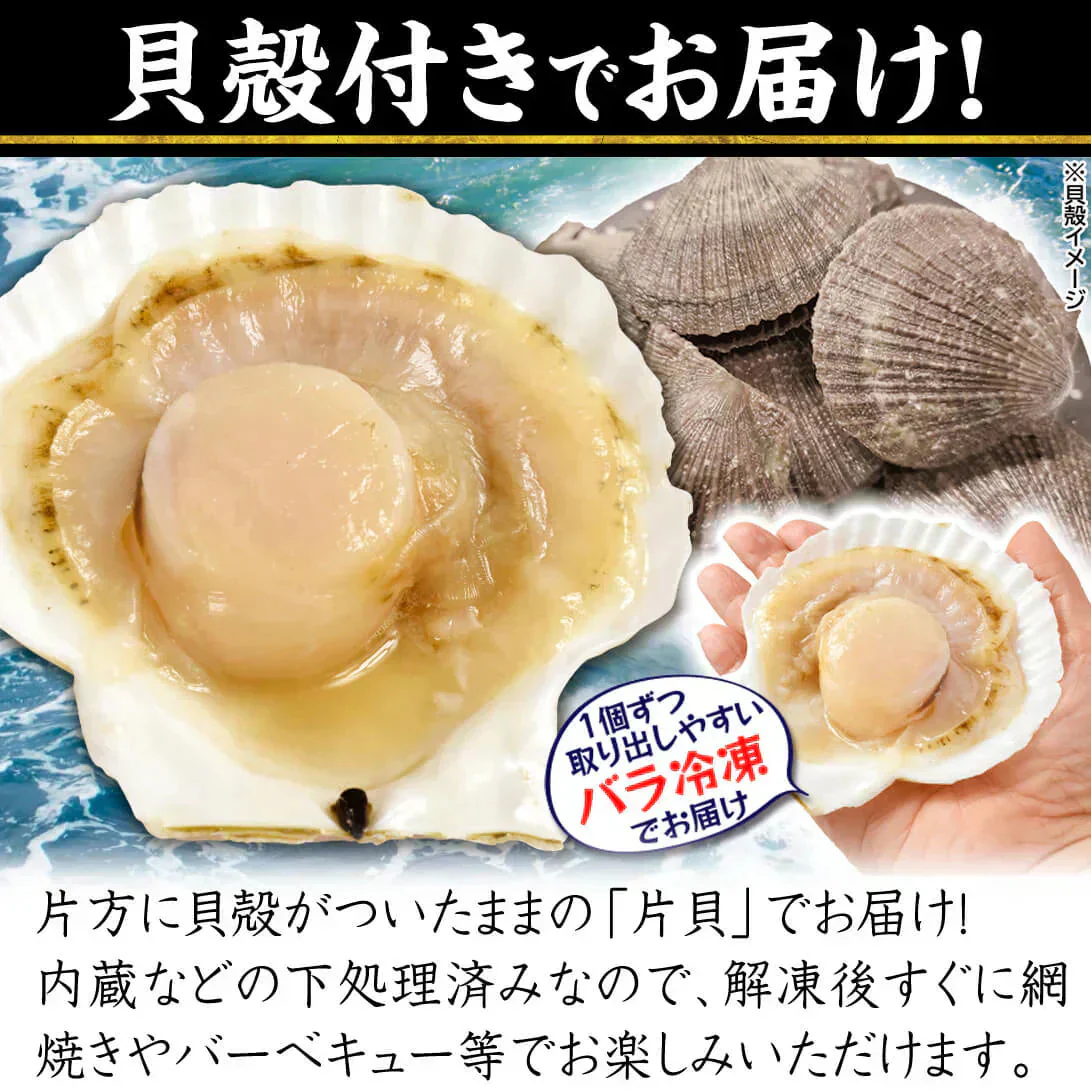 生ほたて片貝 10枚 北海道産 Mサイズ 加熱用