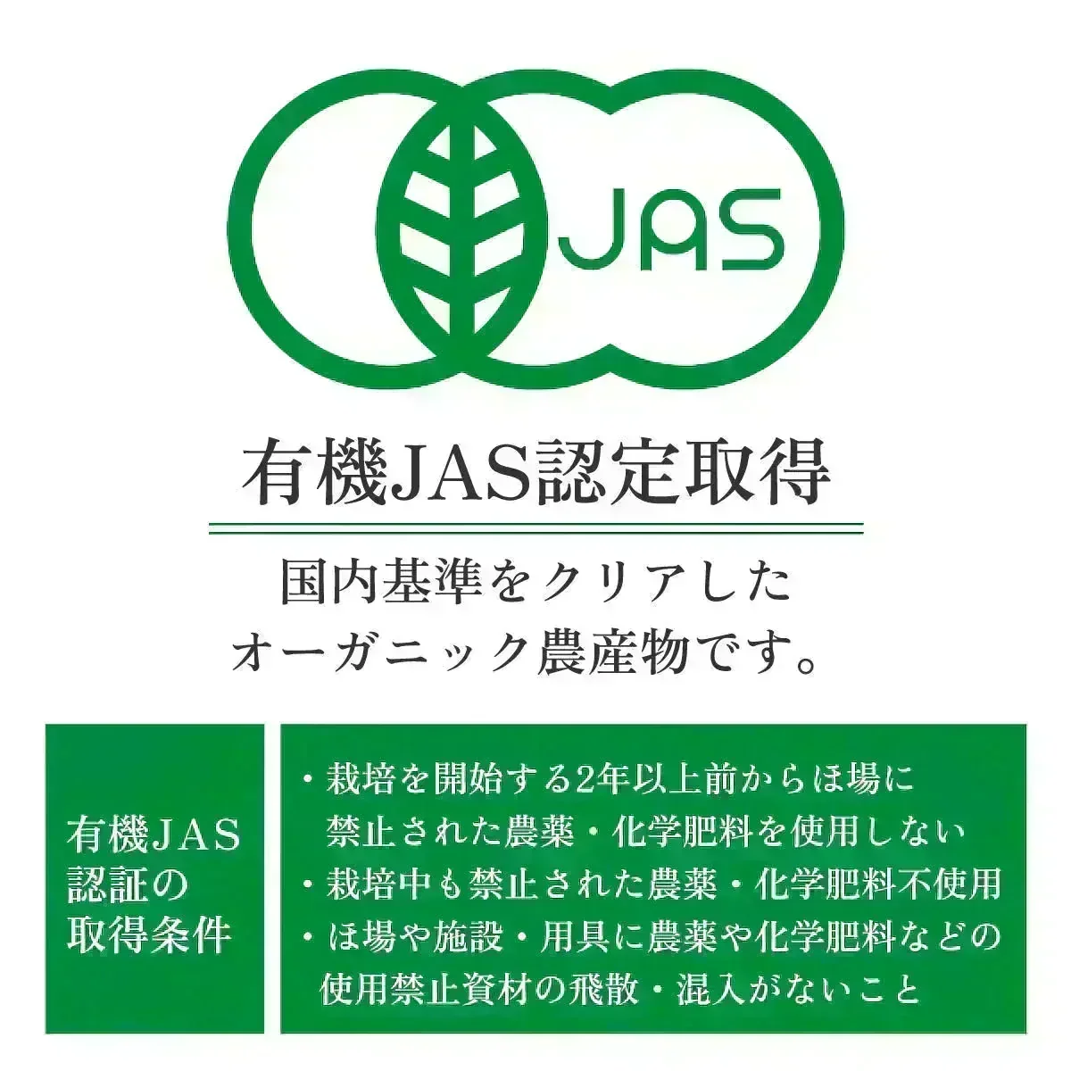 【ご注文殺到につき入荷待ち】セイロンシナモン シナモンパウダー セイロンシナモンパウダー 粉末 オーガニック セイロン シナモン 100% 有機 スリランカ 桂皮 肉桂 高級 100g 有機JAS認定 無添加 無農薬 スーパーフード 美容 健康 はちみつシナモン スパイス 香辛料 業務用
