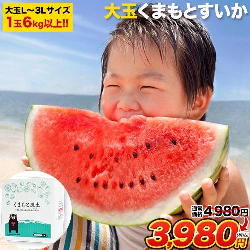 大玉 すいか  6kg以上 熊本県産 送料無料 スイカ 訳あり ジャンボスイカ   熊本 旬 の 果物 夏 キャンプ 家庭用 自家用 フルーツ 果物 甘い《7-14営業日以内に発送予定（土日祝除く）》