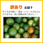 【9月中旬発送予定】熊本産 みかん 訳あり 約10kg（箱込10kg：9kg+保証分500g）ご家庭用 送料無料【ゲリラセール】