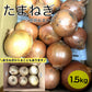 たまねぎ 約1.5kg 送料無料  60サイズ