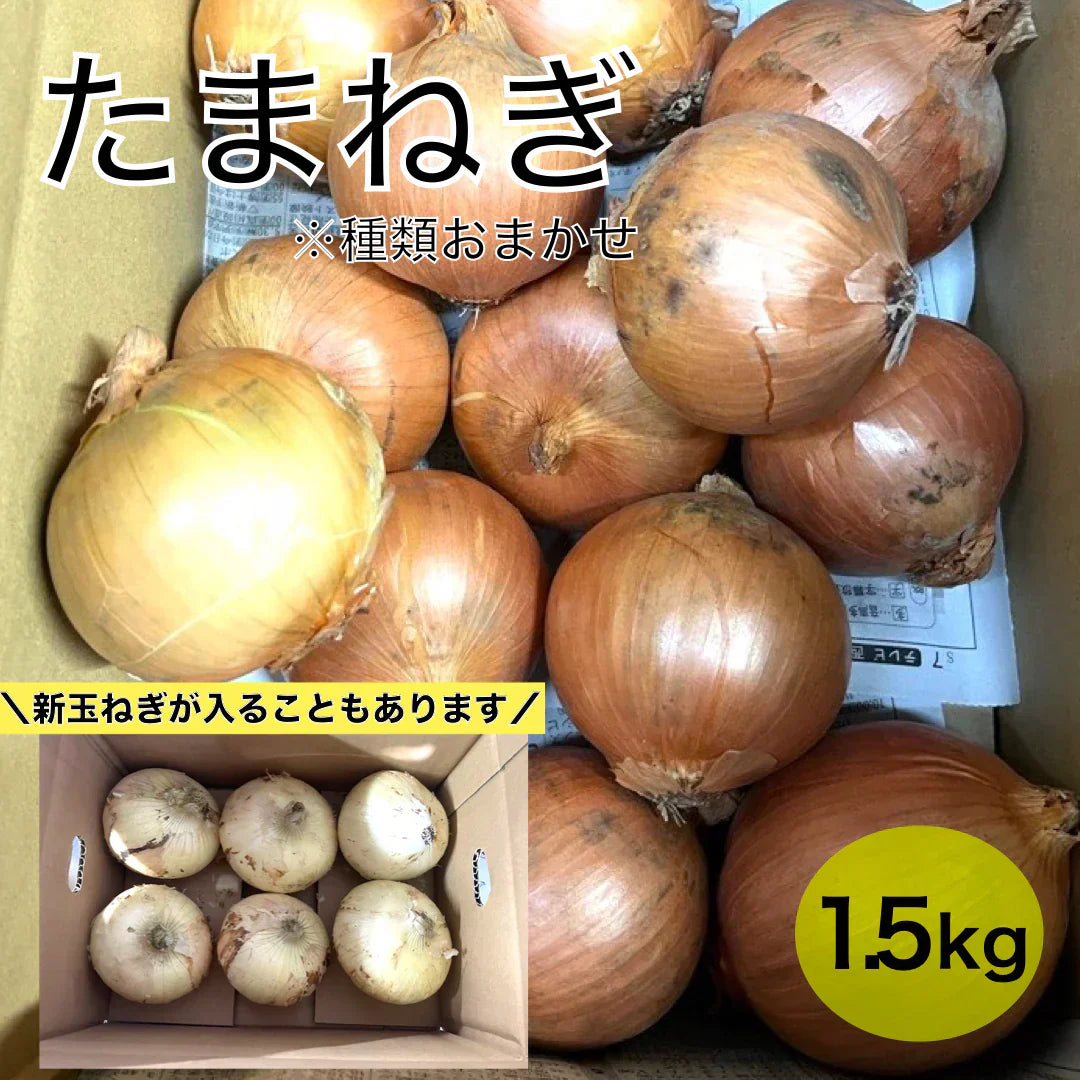 たまねぎ 約1.5kg 送料無料  60サイズ