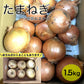 たまねぎ 約1.5kg 送料無料  60サイズ
