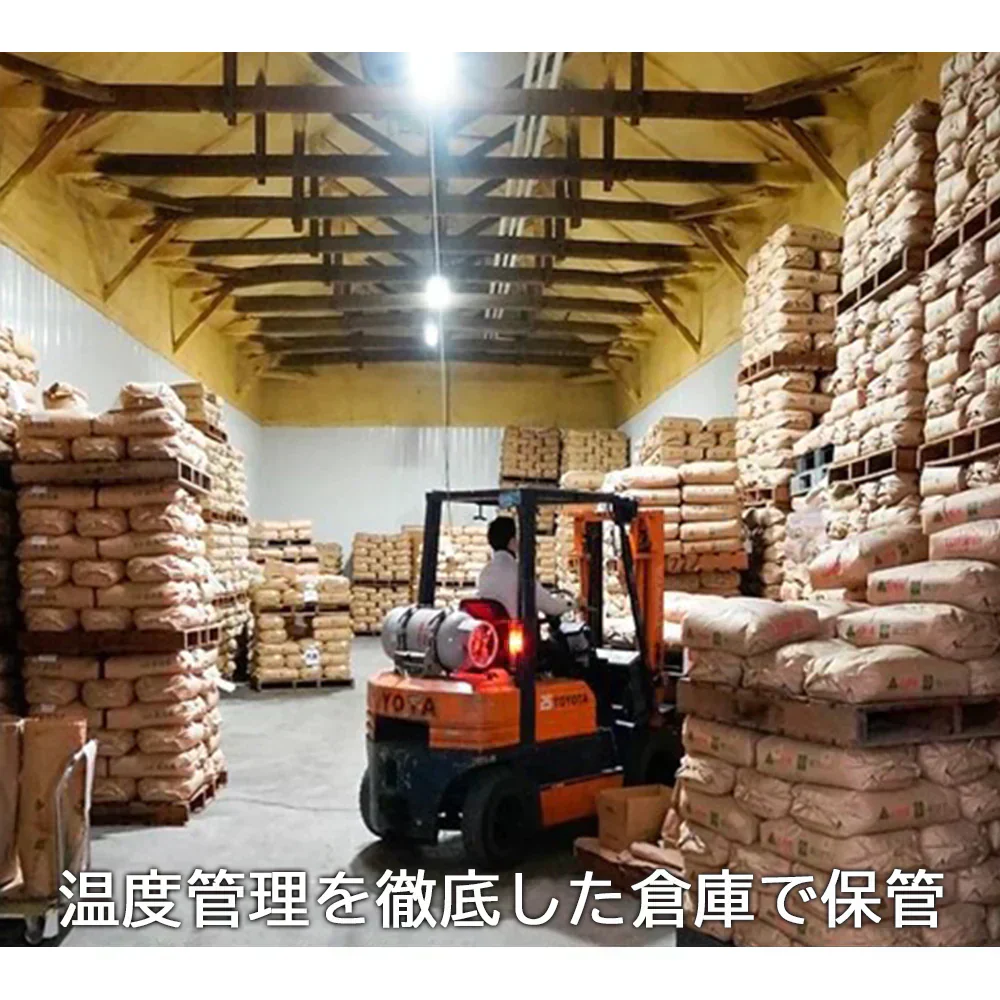 米 10kg つや姫  精米 山形県産 送料無料 ギフト 令和6年産 単一原料米 ブランド米 こめ コメ 白米 産地直送 kkb-003