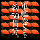 いくら 鱒 イクラ 醤油漬け 500g
