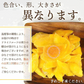 おひさま 王国ドライマンゴー450g