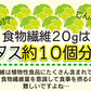 水溶性食物繊維＋生きてる乳酸菌パウダー500g／女王様のおすすめ！すごい食物せんい／芽胞乳酸菌までとれちゃいます。ぷるるん姫