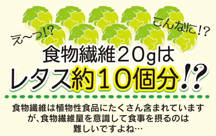 水溶性食物繊維＋生きてる乳酸菌パウダー500g／女王様のおすすめ！すごい食物せんい／芽胞乳酸菌までとれちゃいます。ぷるるん姫
