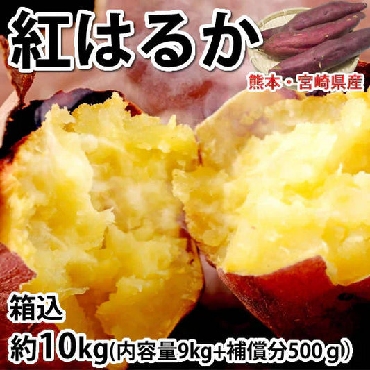 【10月中旬～下旬頃より順次出荷】さつまいも 紅はるか 訳あり 10kg 箱込（内容量9kg＋不良補償分500g) 送料無料 無選別 べにはるか 熊本・宮崎県産 サツマイモ 紅蜜芋 焼き芋 芋 いも