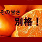 しおみかん  5kg みかん 熊本産 訳あり ご家庭用 80サイズ